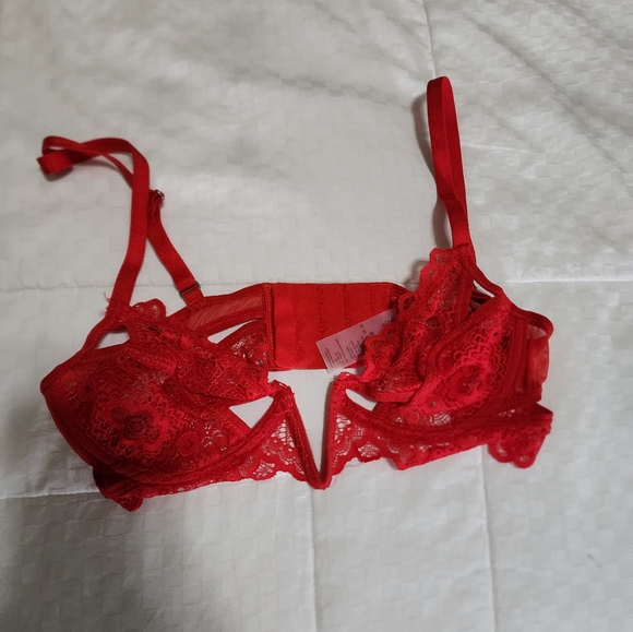 Thistle and Spire Bra - Picture 4 of 5